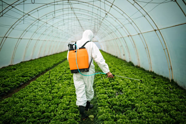 Best Best Pest Control Companies  in Five Points, OH