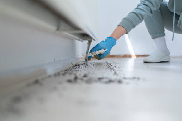 Best Exterminator Services  in Five Points, OH
